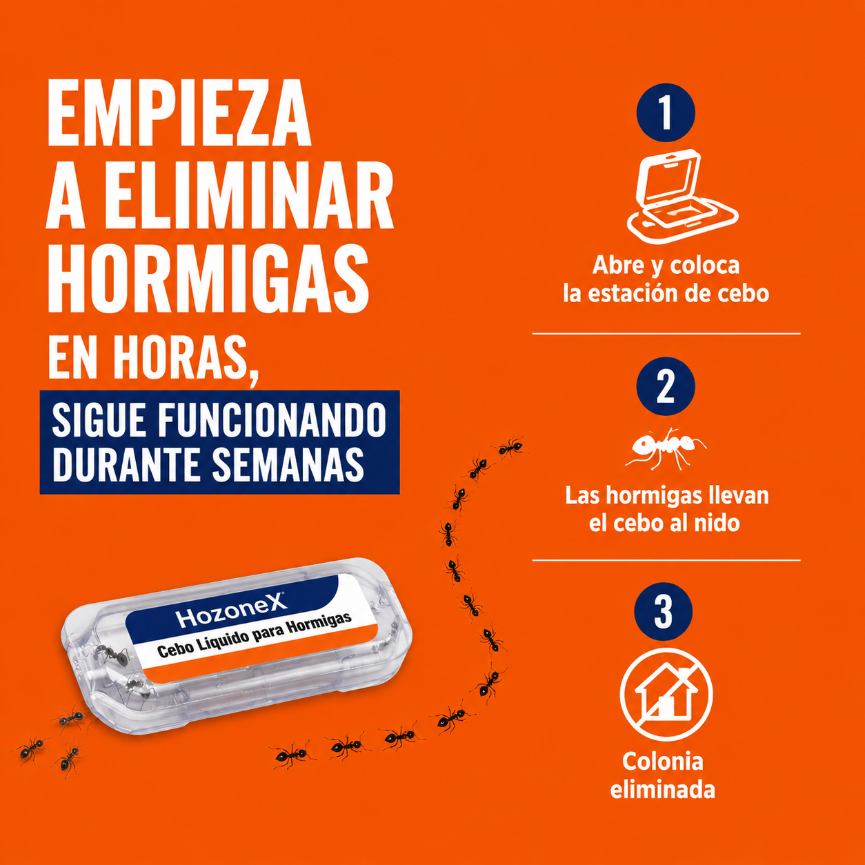 Cebo Líquido Anti-Hormigas + Guía Gratis🎁| Elimina la Colonia Completa — 4 Unidades